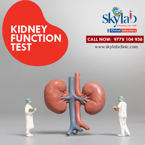 Kidney function test Skylab clinical Laboratory Pettah Trivandrum