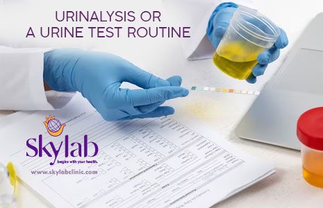 URINALYSIS OR A URINE TEST ROUTINE TESTING LABORATORY IN TRIVANDRUM BEST CLINICAL LABORATORUY NEAR ME